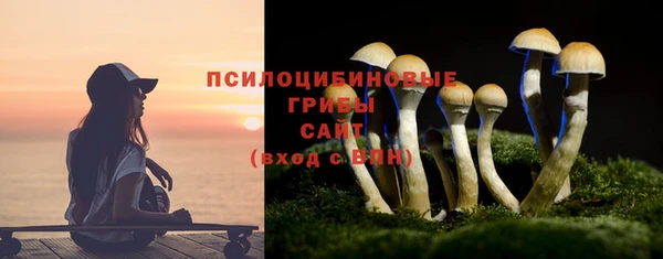 прущая мука Краснослободск