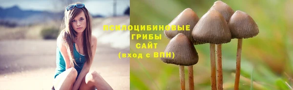 прущая мука Краснослободск