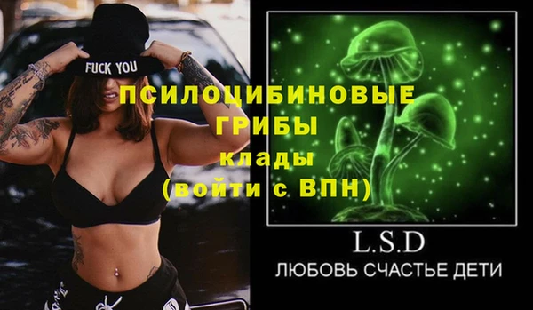 прущая мука Краснослободск