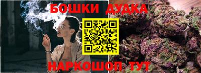 jwh Бийск