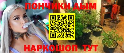 jwh Бийск