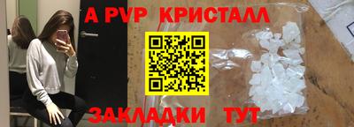 jwh Бийск