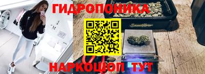 ГАЛЛЮЦИНОГЕННЫЕ ГРИБЫ Беслан