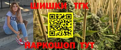 jwh Бийск