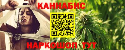 jwh Бийск