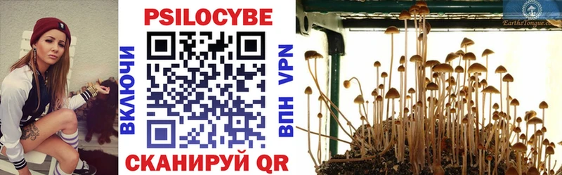 Псилоцибиновые грибы Magic Shrooms  Вичуга 
