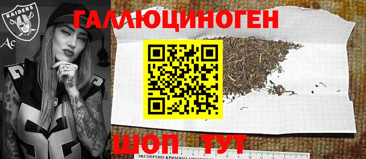 Псилоцибиновые грибы прущие грибы Вичуга