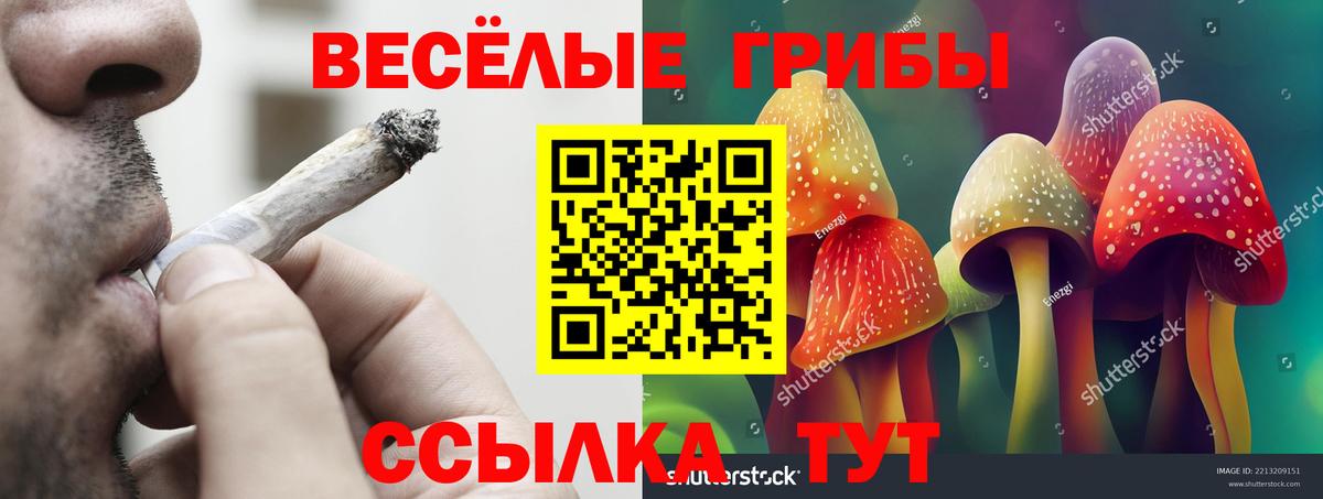 Вичуга  Галлюциногенные грибы ЛСД  Галлюциногенные грибы MAGIC MUSHROOMS  Вход с VPN 